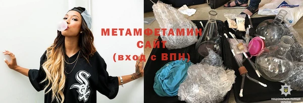 шишки Надым