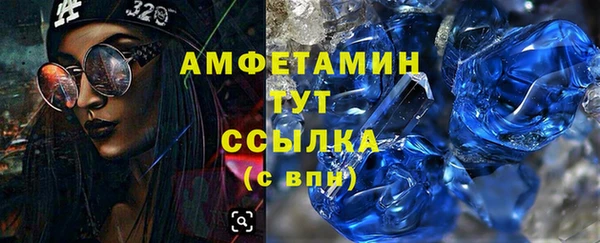 шишки Надым