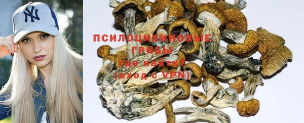прущая мука Медвежьегорск