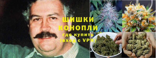 мяу мяу мука Мегион