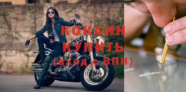 ПСИЛОЦИБИНОВЫЕ ГРИБЫ Михайлов
