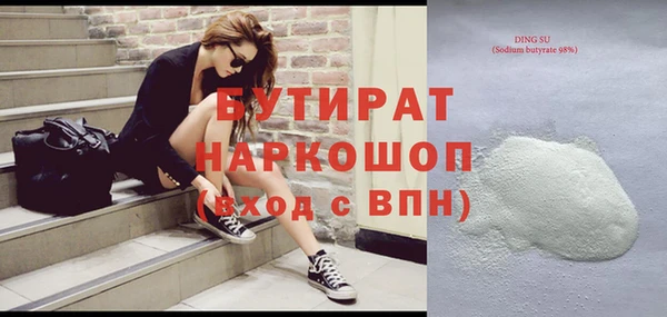 шишки Надым