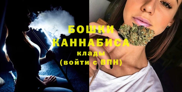 ПСИЛОЦИБИНОВЫЕ ГРИБЫ Михайлов