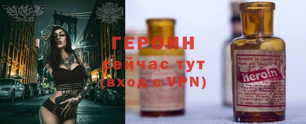 шишки Надым